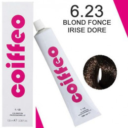 Coiffeo coloration hair color 6 23