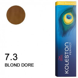 Koleston perfect Rich Naturals 7.17 Blond cendré marron