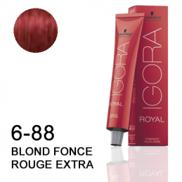 Igora Royal 6-88 Blond foncé rouge extra Schwarzkopf 60ml