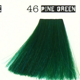 Coloration crazy color pine green