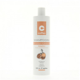 Shampooing rééquilibrant Coiffeo 500 ml