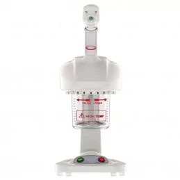 Vapozone portable esthétique professionnel 