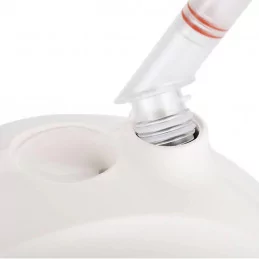 Vapozone portable esthétique professionnel 