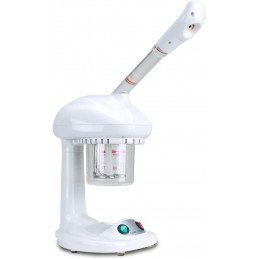 Vapozone portable professionnel