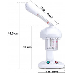 Vapozone portable professionnel esthétique