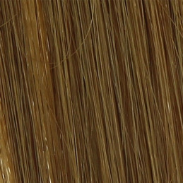 10 mèches Extensions cheveux naturels Blond