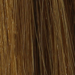 10 mèches Extensions cheveux naturels Châtain et mèches miel