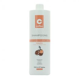 Shampooing rééquilibrant Coiffeo 1000 ml