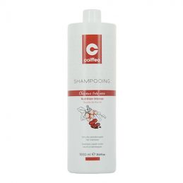 Shampooing cheveux extra secs Coiffeo 1000 ml