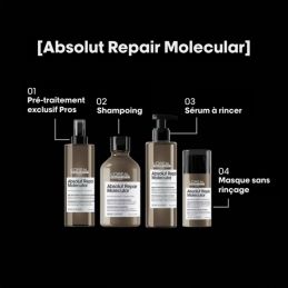 Pré-traitement concentré Absolut Repair Molecular 190ml