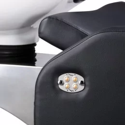 Bac de lavage haut de gamme 2 moteurs avec vasque céramique inclinable