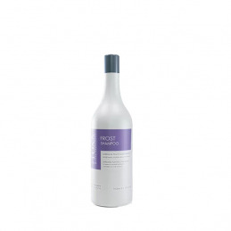 Frost Shampoo HAIRTOXX 1 L