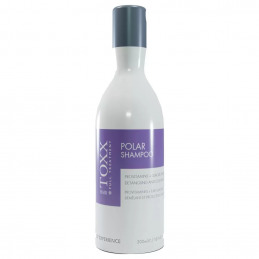 Shampoing HAIRTOXX Polar Shampoo 300 mL pour cheveux colorés