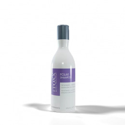 HAIRTOXX Polar Shampoo démêlant protecteur des couleurs