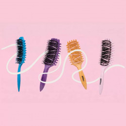 Présentoir CENTAURE 12 brosses pour cheveux bouclés