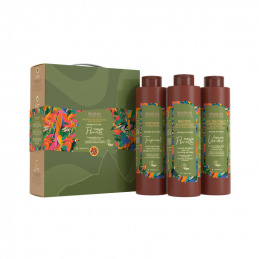 Kit de lissage Força Da Floresta 3 x 1000 ml Brazilian Secrets Hair