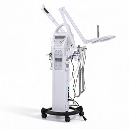 Appareil soins du visage multifonction ENTIR - Weelko