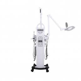 Machine de soins du visage ENTIR multifonction - Weelko