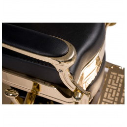 Fauteuil barbier professionnel BUZZ GOLD finition dorée - Weelko