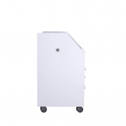 Chariot esthétique TASH Weelko avec plateau amovible Chariot esthétique TASH Weelko avec plateau amovible