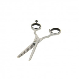 Ciseaux sculpteurs professionnels Argent 5.5