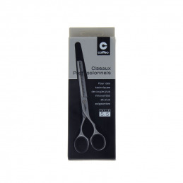 Ciseaux sculpteur professionnel Argent 5.5