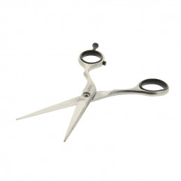 Ciseaux pour coiffeur Coiffeo 5,5 pouces