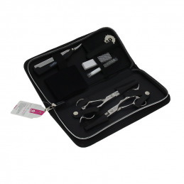 Kit ciseaux coiffure pro pour droitier avec rasoir 5.5