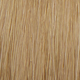 Coloration professionnelle 10.3 Blond platine doré HESIA Salon