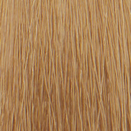 Coloration P3 Color 9.3 blond très clair doré HESIA Salon
