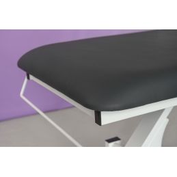 Table de massage professionnelle WPF0006.1.A66 noire Table de massage professionnelle WPF0006.1.A66 noire