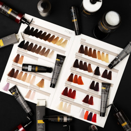 Nuancier coloration professionnelle P3 Color Hesia Salon Nuancier coloration professionnelle P3 Color Hesia Salon