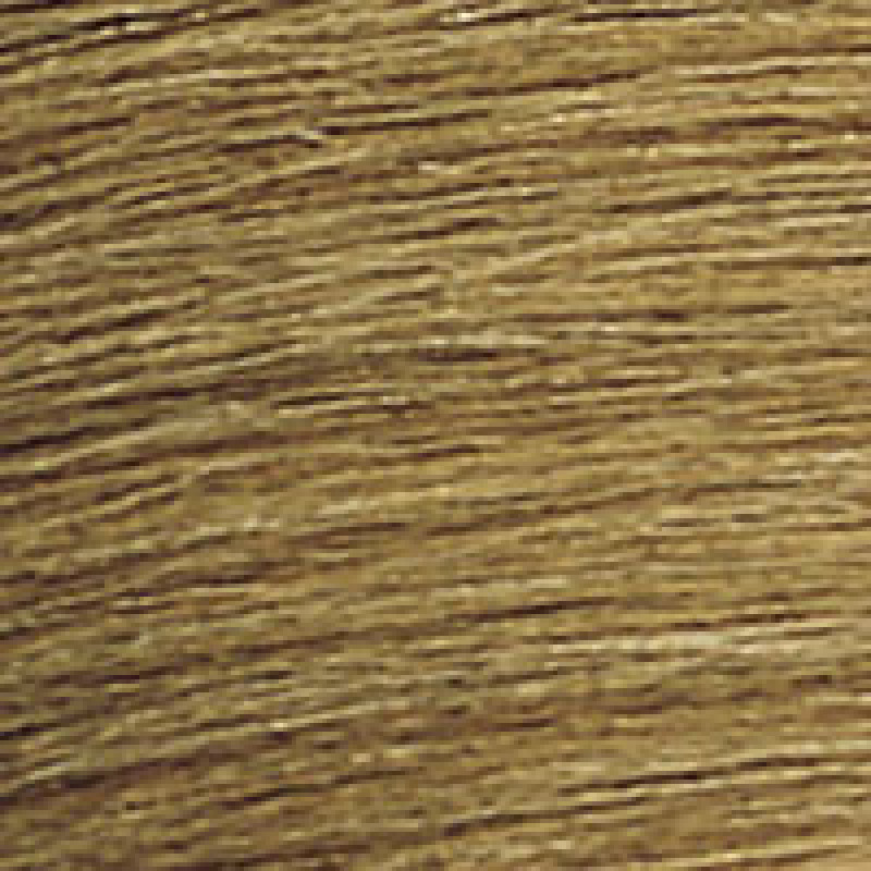 Coloration professionnelle blond foncé doré chaud 6WG Redken Coloration professionnelle blond foncé doré chaud 6WG Redken