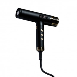 Sèche-cheveux professionnel Divine Noir Swissliss