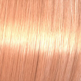 Coloration Color Touch blond très très clair doré cuivré 10/34