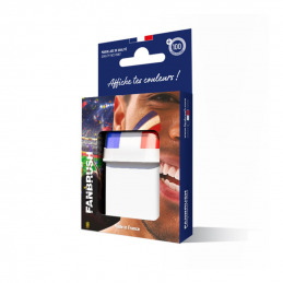 Maquillage visage en stick France Fanbrush®