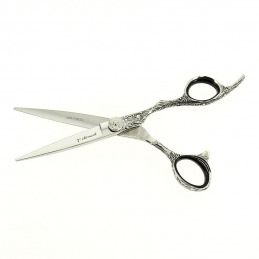 Ciseaux coiffure pro à lames concaves 5.75