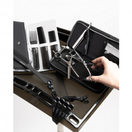 Set professionnel ciseau gauche effileur et rasoir 5.5