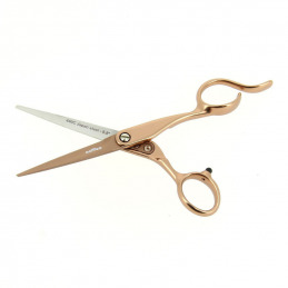 Ciseaux de coiffure professionnels en acier japonais 440C