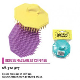 Brosse massage et coiffage.Scalp massage and hair styling brush